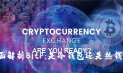 全面解析BitP：是冷钱包还是热钱包？