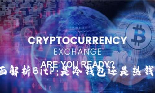 全面解析BitP：是冷钱包还是热钱包？