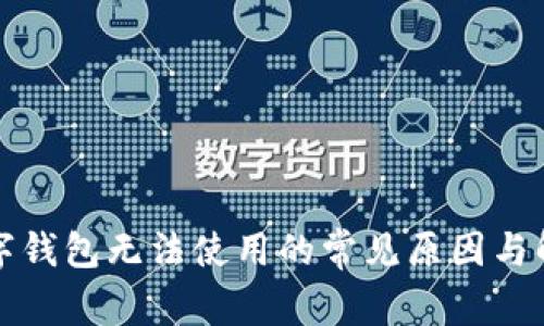 深圳数字钱包无法使用的常见原因与解决方案