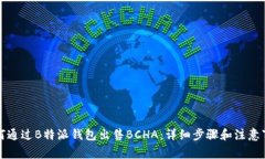 如何通过B特派钱包出售BCHA：详细步骤和注意事项
