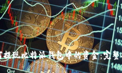 如何提现比特派钱包中的资金：完整指南