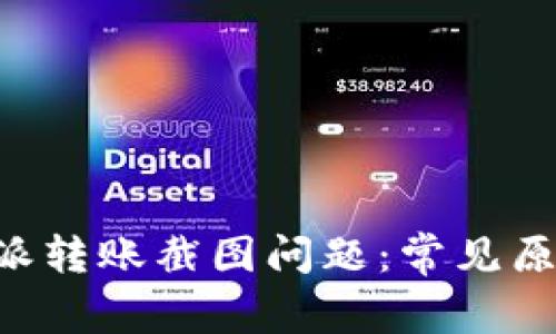 如何解决B特派转账截图问题：常见原因与解决办法