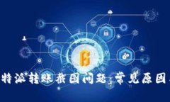 如何解决B特派转账截图问题：常见原因与解决办