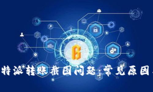 如何解决B特派转账截图问题：常见原因与解决办法