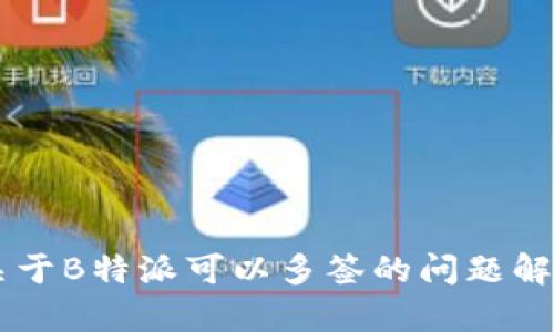 关于B特派可以多签的问题解析