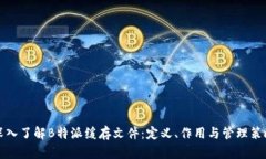 深入了解B特派缓存文件：定义、作用与管理策略