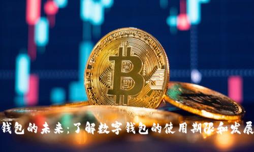 数字钱包的未来：了解数字钱包的使用期限和发展趋势