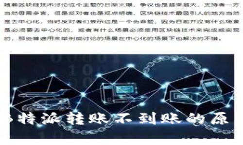 全方位解析：B特派转账不到账的原因及解决方案