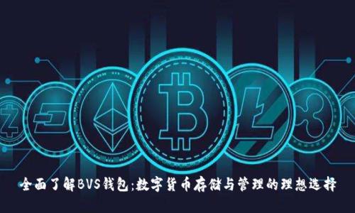 全面了解BVS钱包：数字货币存储与管理的理想选择