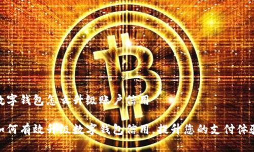 数字钱包怎么升级账户信用

如何有效升级数字钱包信用，提升您的支付体验