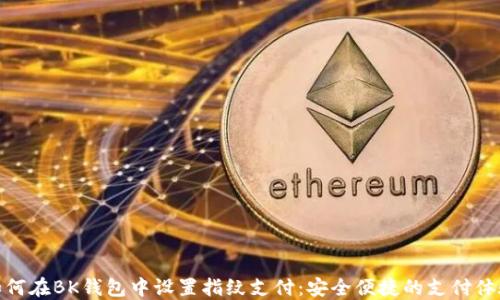 
如何在BK钱包中设置指纹支付：安全便捷的支付体验