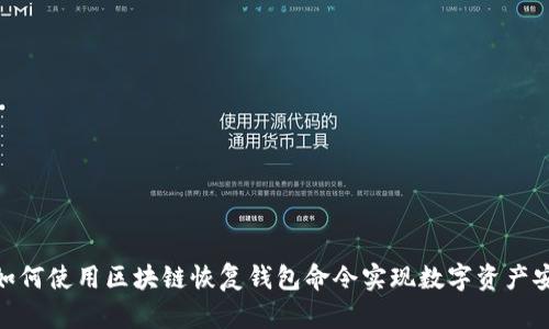 : 如何使用区块链恢复钱包命令实现数字资产安全