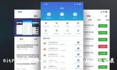 BitP钱包是哪个国家的？详解其起源与发展