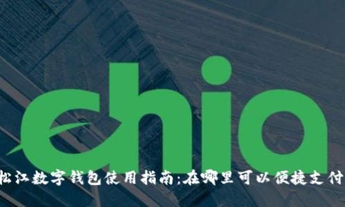 松江数字钱包使用指南：在哪里可以便捷支付？