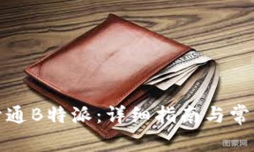 如何顺利开通B特派：详细指南与常见问题解答