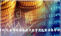 当今数字时代：如何选择和打开数字钱包载体来