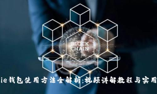 Bitpie钱包使用方法全解析：视频讲解教程与实用指南