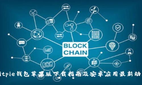 Bitpie钱包苹果版下载指南及安卓应用最新动态