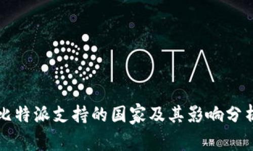 比特派支持的国家及其影响分析