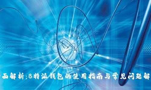 全面解析：B特派钱包的使用指南与常见问题解答