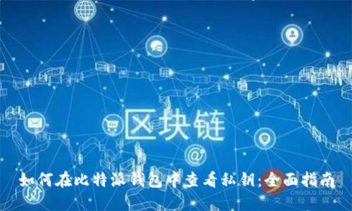 如何在比特派钱包中查看私钥：全面指南