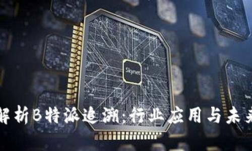 全面解析B特派追溯：行业应用与未来发展