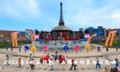 2023年B特派钱包停止服务的真相与影响
