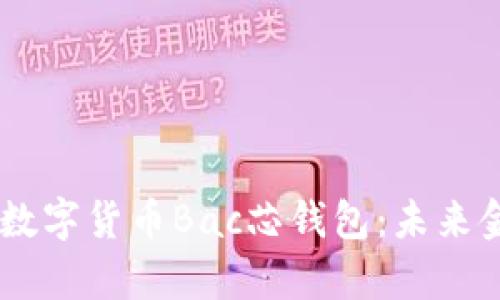 全面解析DCEP数字货币Bac芯钱包：未来金融的智能选择
