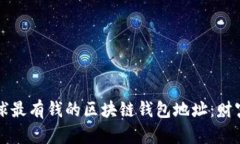 揭秘全球最有钱的区块链钱包地址：财富的背后