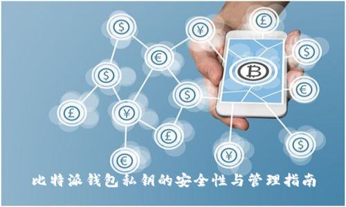 比特派钱包私钥的安全性与管理指南