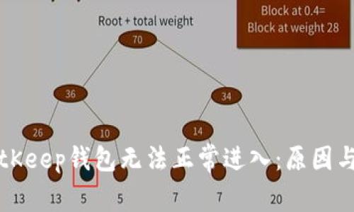 为什么BitKeep钱包无法正常进入：原因与解决方案
