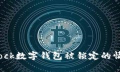 如何应对Sblock数字钱包被锁定的情况：完整指南