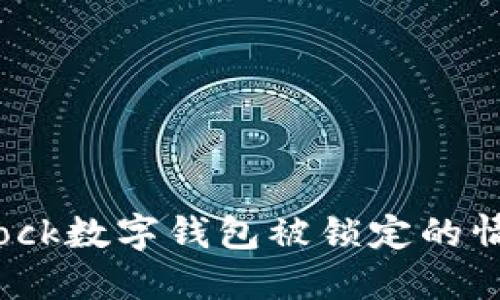 如何应对Sblock数字钱包被锁定的情况：完整指南