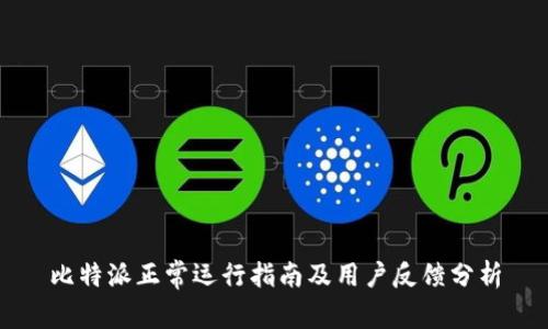 比特派正常运行指南及用户反馈分析