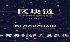 全面解析：如何将BitP工具汉化并使用体验
