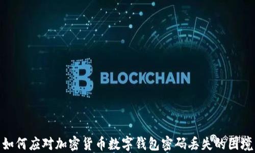 
如何应对加密货币数字钱包密码丢失的困境