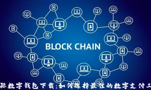 
国际数字钱包下载：如何选择最佳的数字支付工具