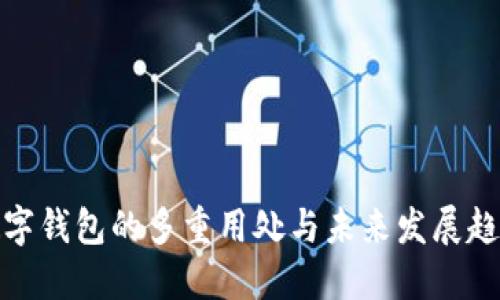 数字钱包的多重用处与未来发展趋势