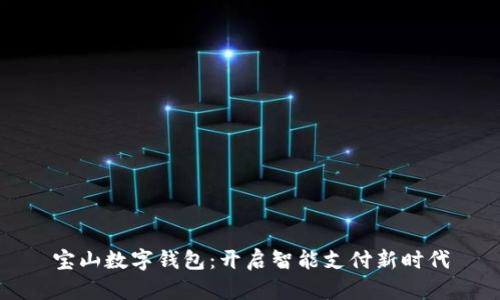 宝山数字钱包：开启智能支付新时代