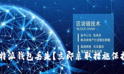 如何应对B特派钱包丢失？立即采取措施保护您的资产！