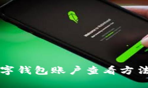2025年必看：数字钱包账户查看方法解析，立即掌握！