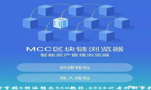 
立即掌握B特派转出BCH教程：2025必看的新手指南！