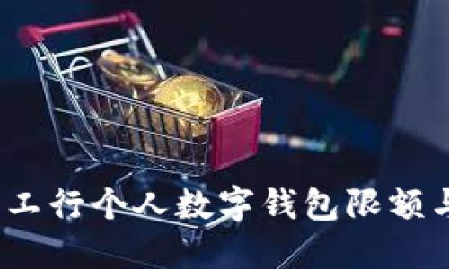 立即了解：工行个人数字钱包限额与使用攻略