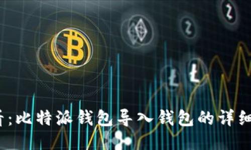 2023年必看：比特派钱包导入钱包的详细步骤与技巧