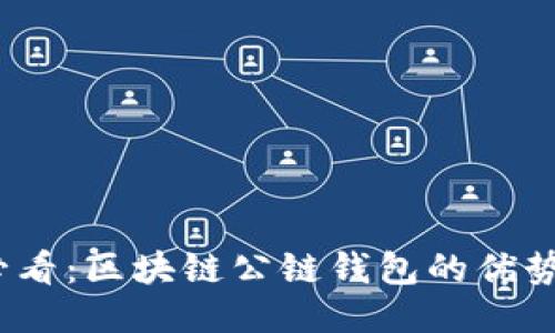 2025必看：区块链公链钱包的优势与挑战