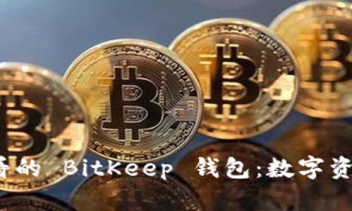 立即了解2025必看的 BitKeep 钱包：数字资产管理的最佳选择