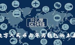 2025必看：数字人民币与华为钱包的未来趋势与影