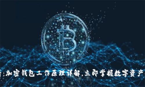 2025必看：加密钱包工作原理详解，立即掌握数字资产保护技巧！
