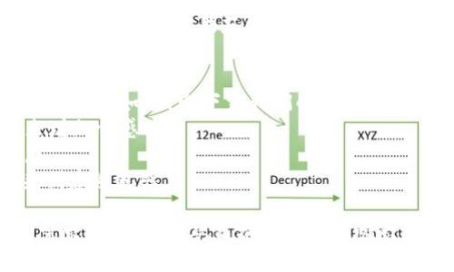 在撰写数字钱包红包的文案时，关键是要吸引用户的注意，同时传达出红包的优惠信息和使用方式。下面是一些创意文案的建议，供你参考：

### 文案示例

#### 1. 新年快乐红包
新年快乐，红包来啦！
在这个特别的时刻，给你的亲友一个数字红包，让他们感受到温暖与祝福！立即使用数字钱包，让爱的传递更简单！

#### 2. 购物狂欢红包
购物狂欢，红包等你拿！
限时优惠！使用我们的数字钱包支付，即可领取专属购物红包，享受超值折扣！快来参与，购物省钱不再是梦！

#### 3. 限时促销红包
限时诱惑，红包快来抢！
赶快使用数字钱包，让你的消费更具价值！马上参与我们限时活动，领取额外红包，享受无与伦比的折扣！

#### 4. 朋友推荐红包
推荐好友，大家拿红包！
爱分享的小伙伴们，邀请好友使用数字钱包，即可享受奖励红包！快来一起赚红包，共同享受精彩优惠吧！

#### 5. 节日特惠红包
节日快乐，红包拿不停！
节日来临之际，数字钱包为你准备了丰厚的红包！快来领取，和家人朋友一起享受快乐购物的乐趣吧！

### 写作技巧
- **明确的行动号召**：确保让读者知道如何领取红包，比如“立即下载我们的应用”或“扫描二维码领取”。
- **情感联系**：通过强调友情、亲情或节日氛围来增加情感共鸣。
- ****：红包文案要简洁明确，不要让用户感到困惑。
- **使用时效性词汇**：如“限时”、“今日特惠”等来创建紧迫感。

通过以上示例和技巧，你可以根据目标用户的不同需求进行调整，从而撰写出更加吸引人的红包文案。