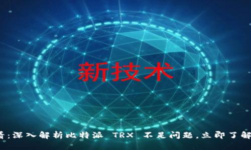 2025必看：深入解析比特派 TRX 不足问题，立即了解解决方案
